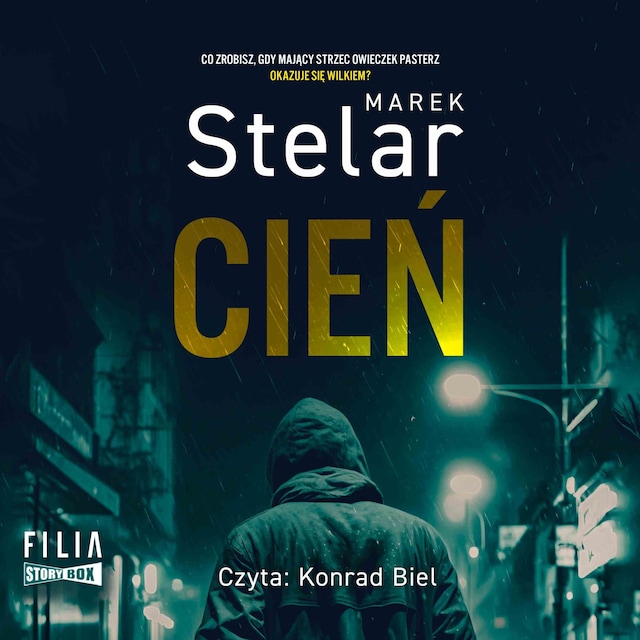 Book cover for Cień
