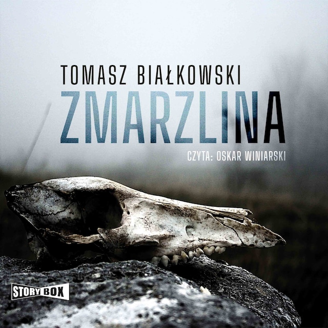 Book cover for Zmarzlina