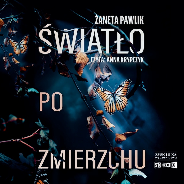 Book cover for Światło po zmierzchu