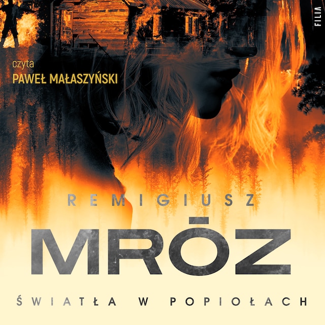 Book cover for Światła w popiołach