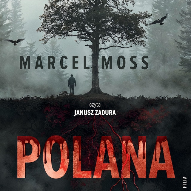 Buchcover für Polana