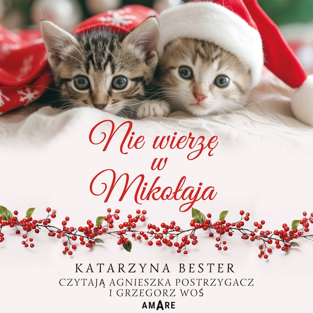 Book cover for Nie wierzę w Mikołaja