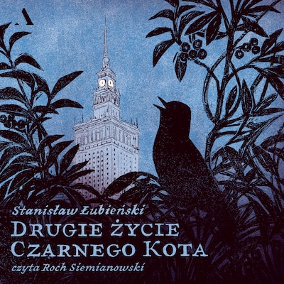 Drugie życie Czarnego Kota