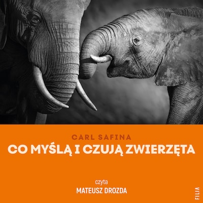 Co myślą i czują zwierzęta