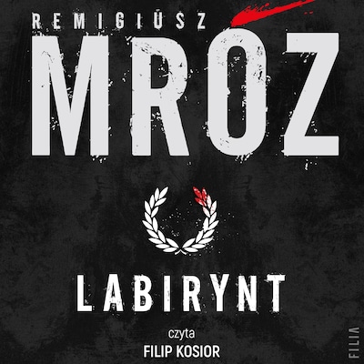 Labirynt - Remigiusz Mróz