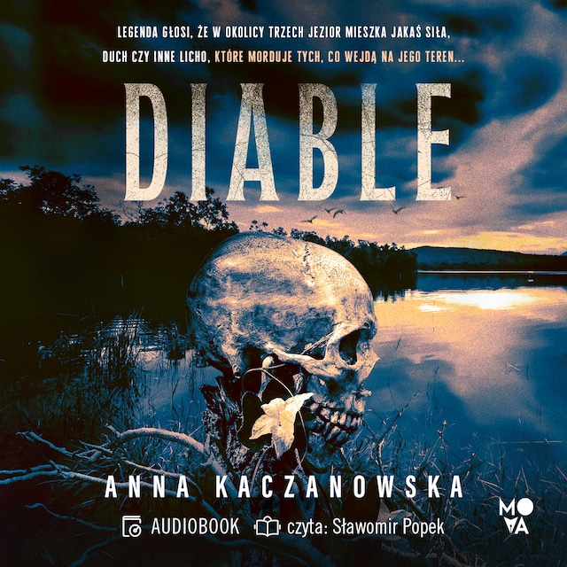 Okładka książki dla Diable