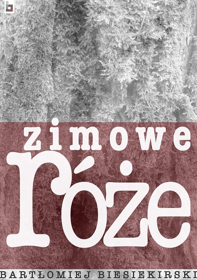 Book cover for Zimowe róże