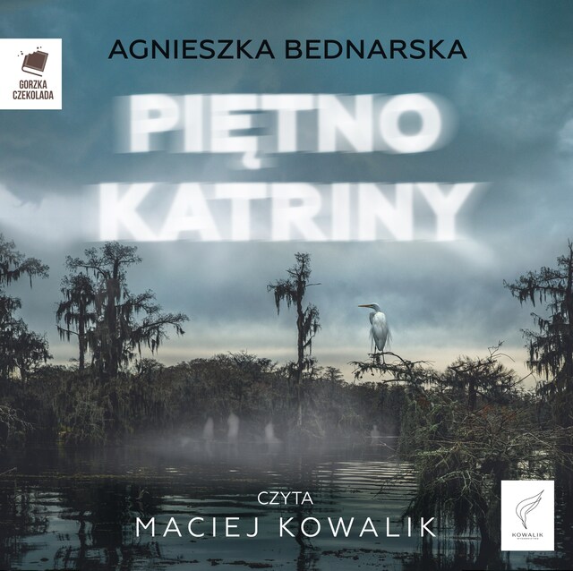 Portada de libro para Piętno Katriny