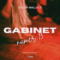 Gabinet nr 13