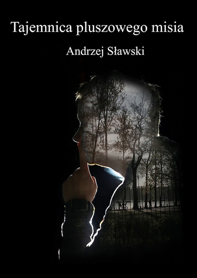 Book cover for Tajemnica pluszowego misia