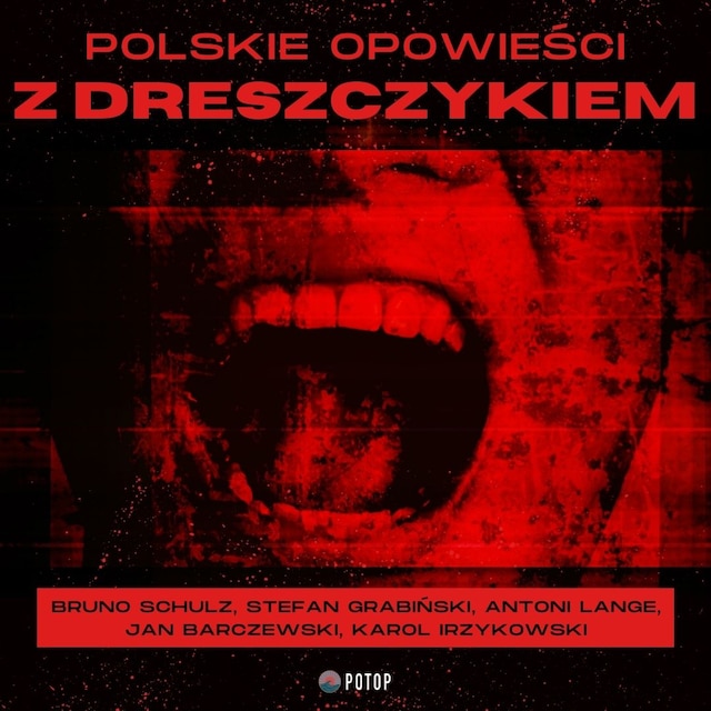 Boekomslag van Polskie opowieści z dreszczykiem