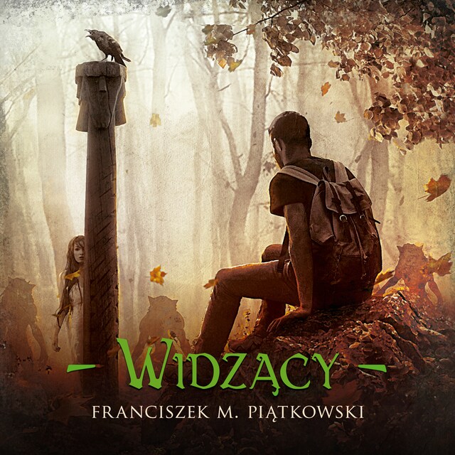 Couverture de livre pour Widzący