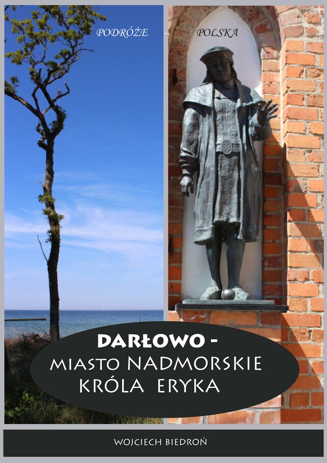 Book cover for Darłowo - Miasto nadmorskie króla Eryka