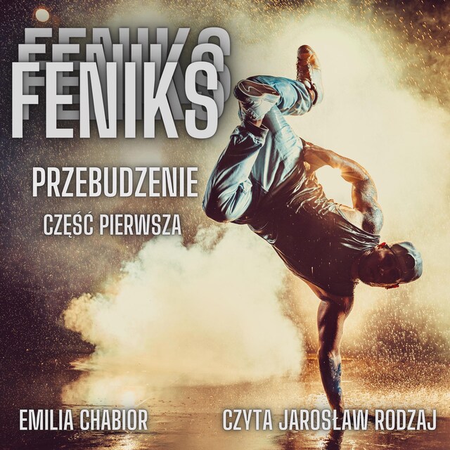 Book cover for Feniks