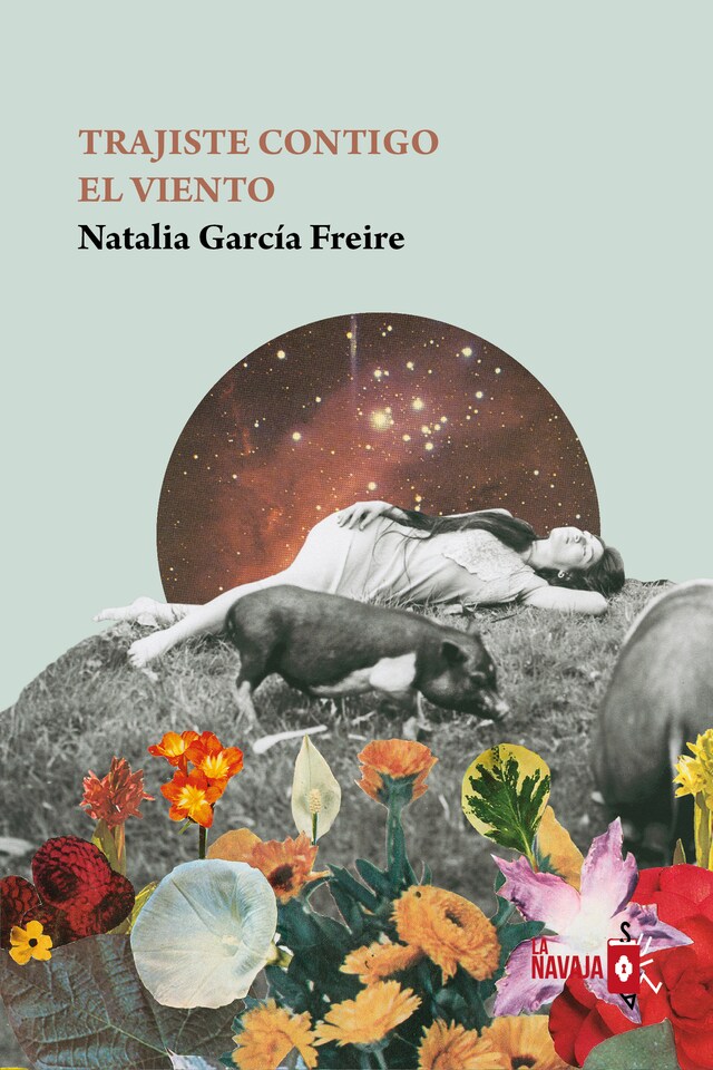 Book cover for Trajiste contigo el viento