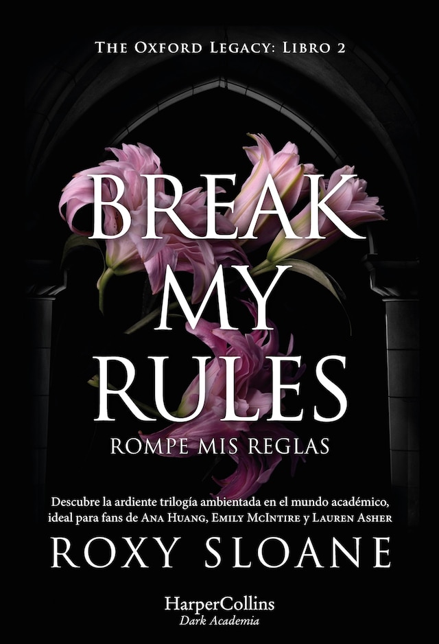 Bogomslag for Break my rules