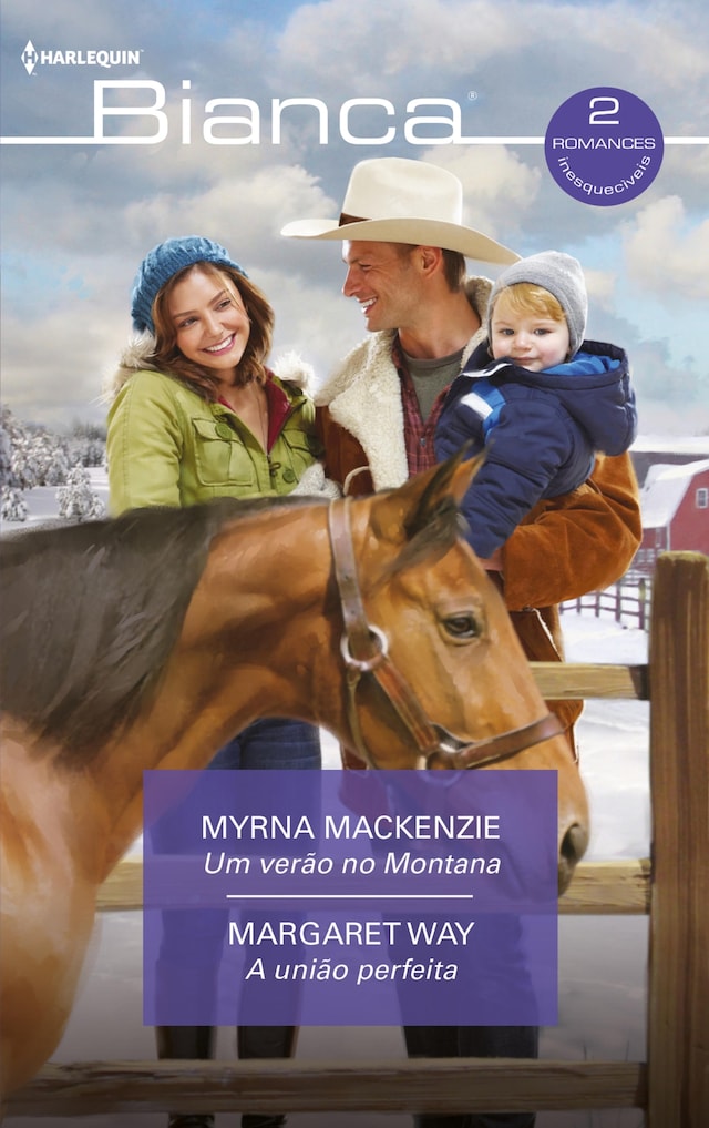 Book cover for Um verão no montana - A união perfeita