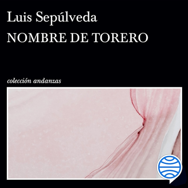 Book cover for Nombre de torero