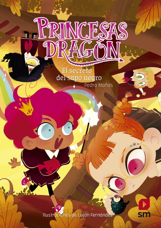 Portada de libro para Princesas Dragón 7. El secreto del sapo negro