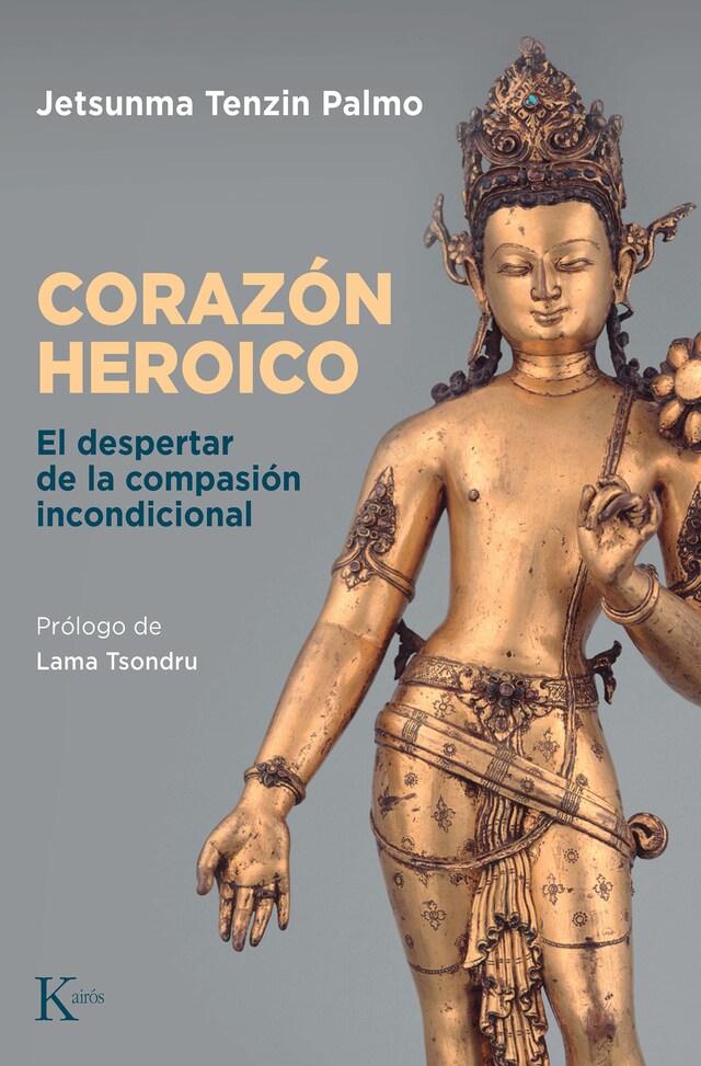 Book cover for Corazón heroico
