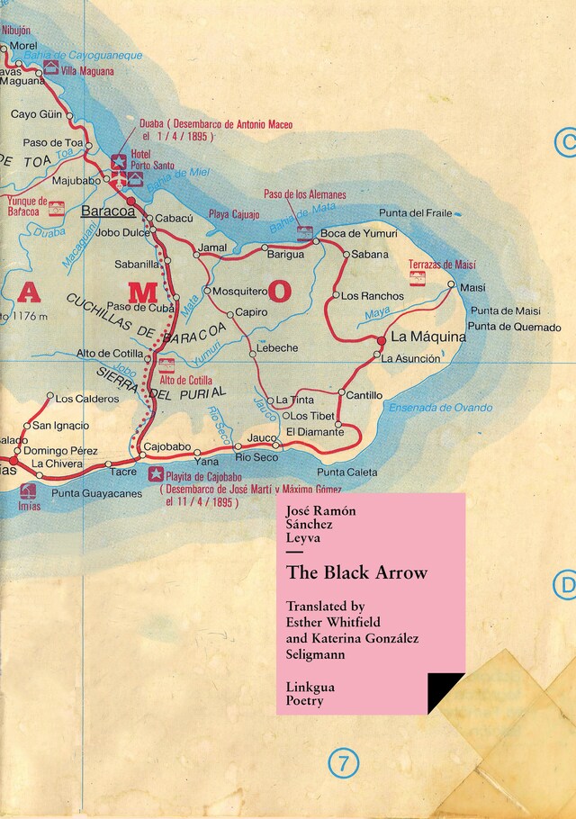 Book cover for The Black Arrow