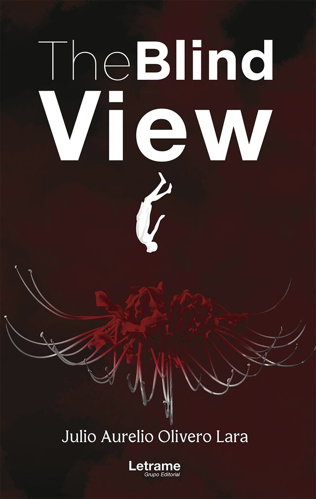 Book cover for The blind view