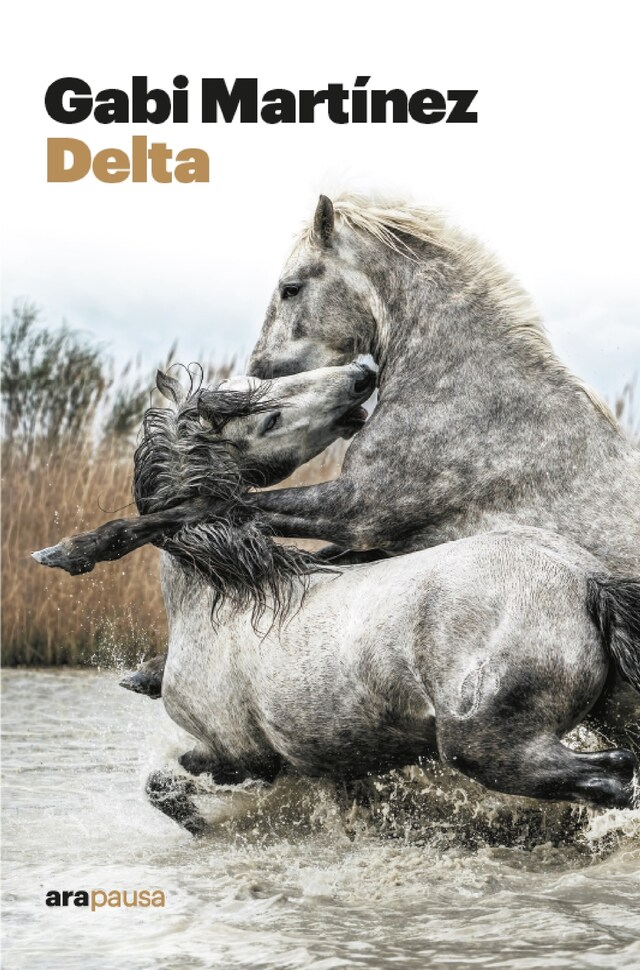 Buchcover für Delta