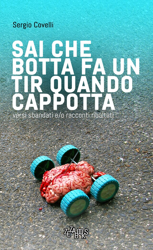 Buchcover für Sai che botta fa un TIR quando cappotta - II edizione