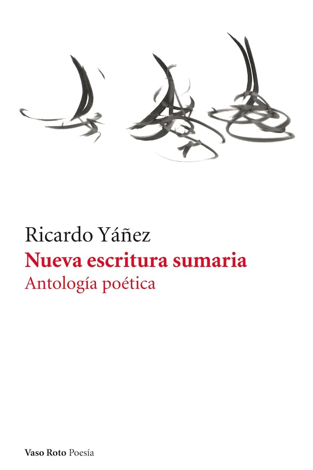 Buchcover für Nueva escritura sumaria