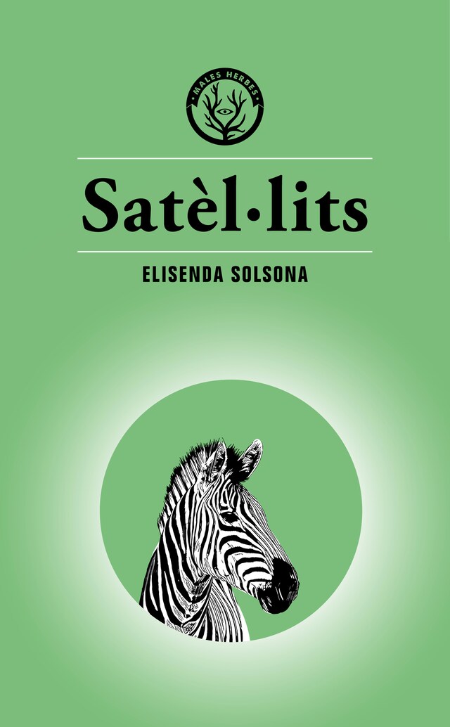 Book cover for Satèl·lits