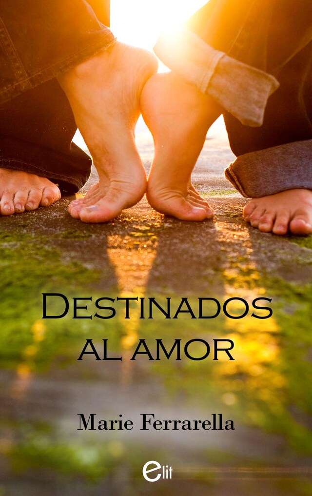 Book cover for Destinados al amor