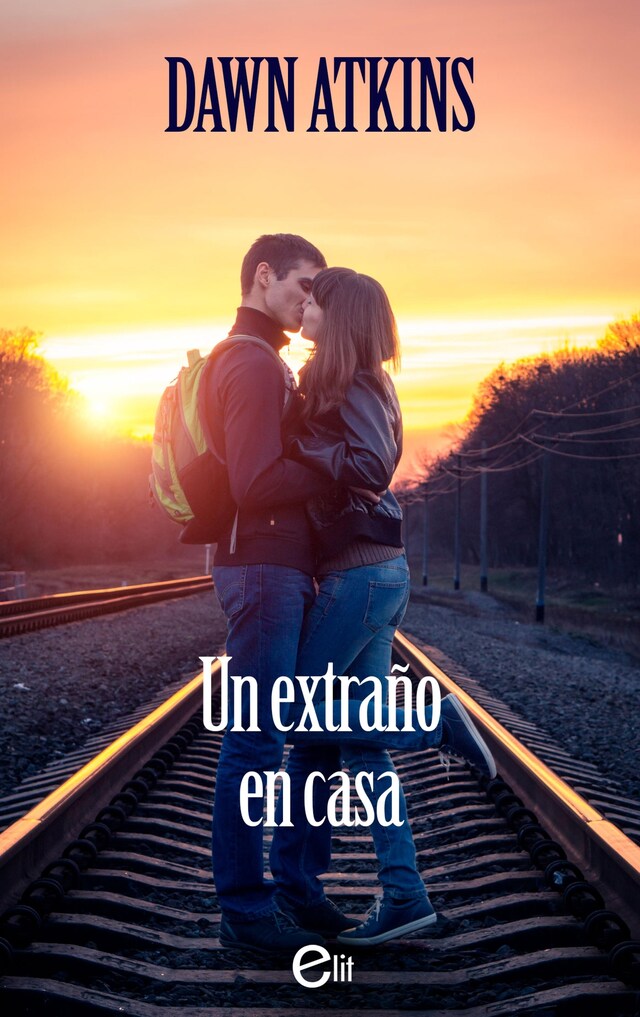 Book cover for Un extraño en casa