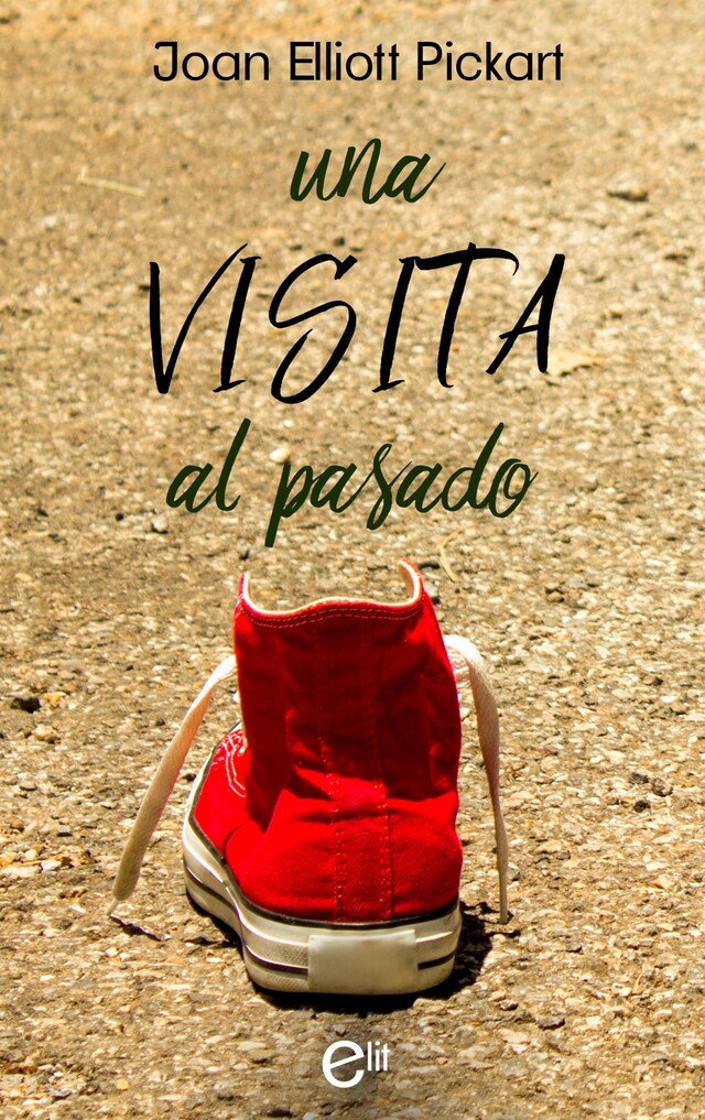 Book cover for Una visita al pasado