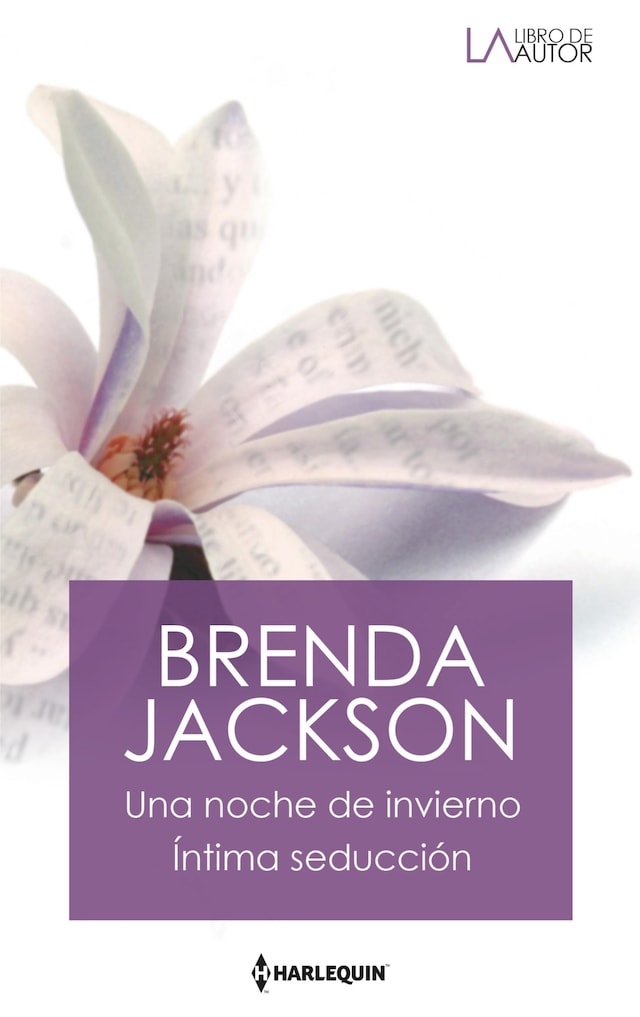 Book cover for Una noche de invierno - Íntima seducción