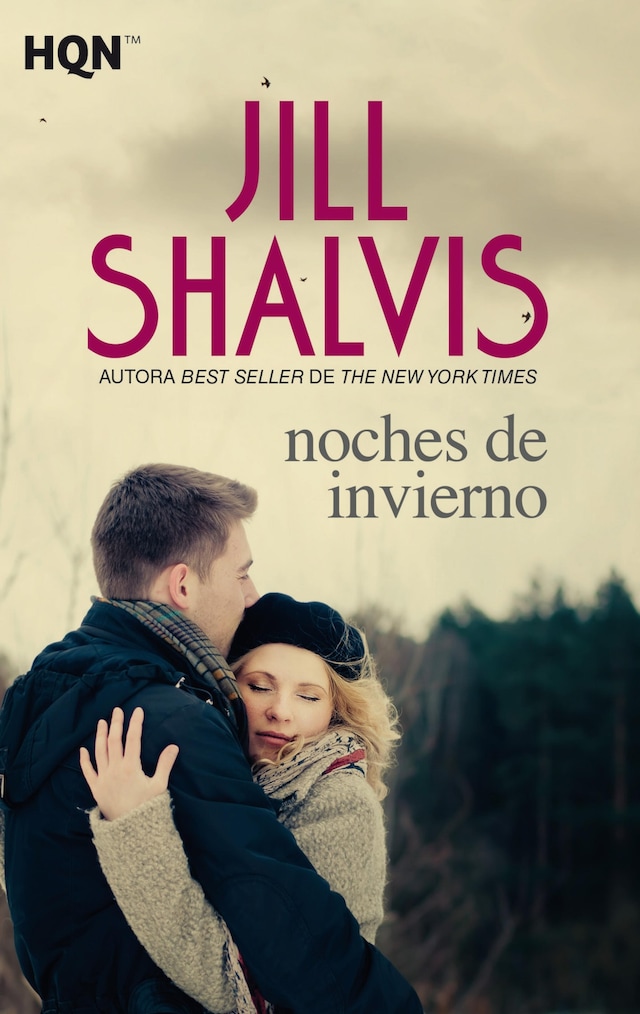 Book cover for Noches de invierno