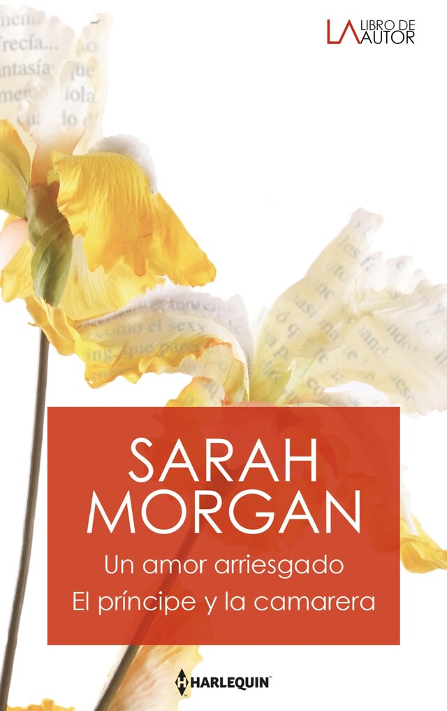 Book cover for Un amor arriesgado - El príncipe y la camarera