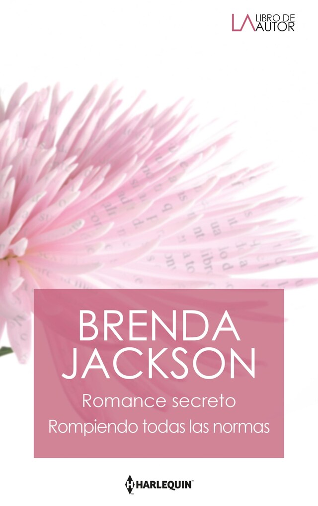 Book cover for Romance secreto - Rompiendo todas las normas