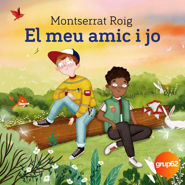 Book cover for El meu amic i jo