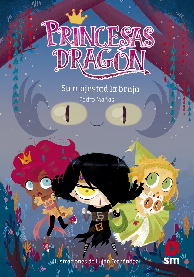 Book cover for Princesas Dragón 3: Su majestad la bruja