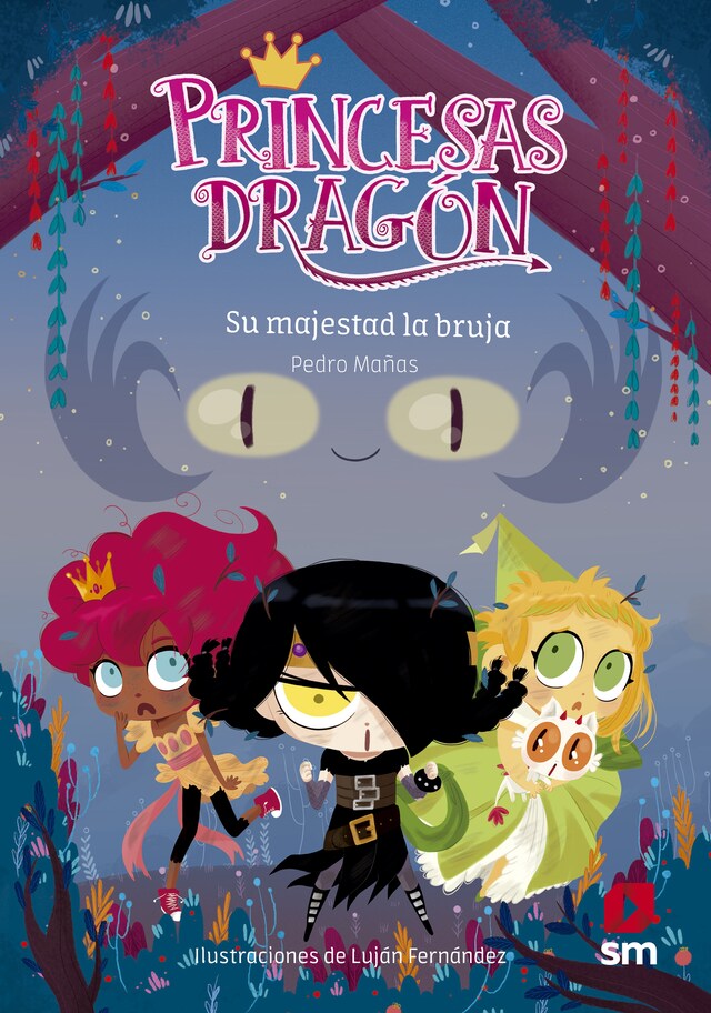 Bogomslag for Princesas Dragón 3: Su majestad la bruja