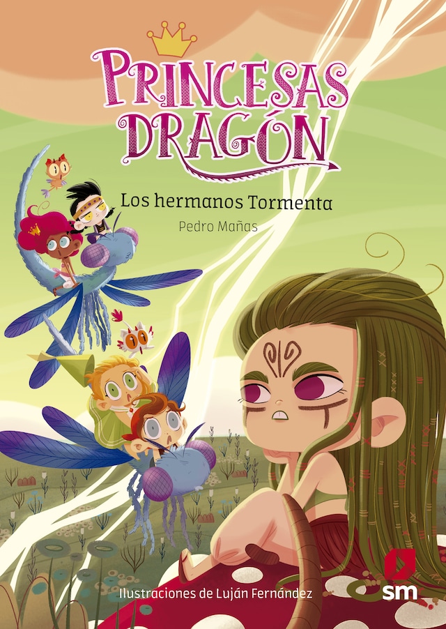 Portada de libro para Princesas Dragón 5: Los hermanos Tormenta