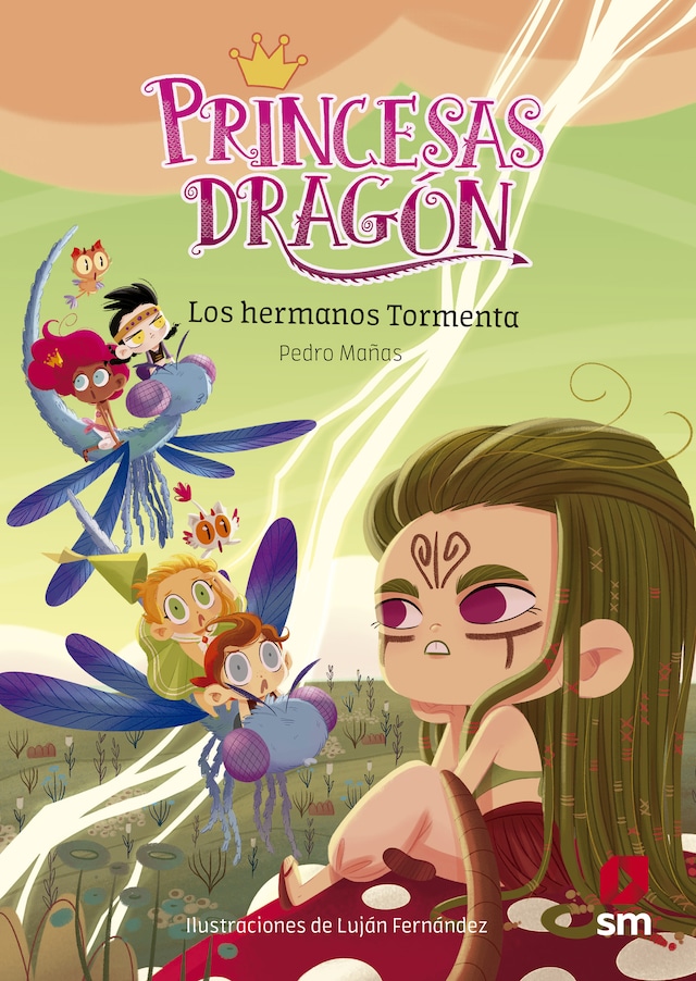 Buchcover für Princesas Dragón 5: Los hermanos Tormenta