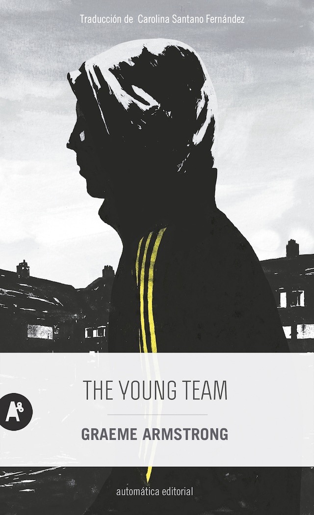 Book cover for The Young Team