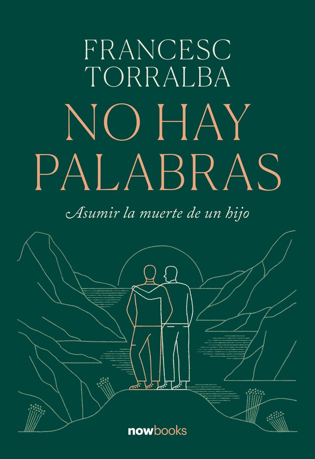 Book cover for No hay palabras