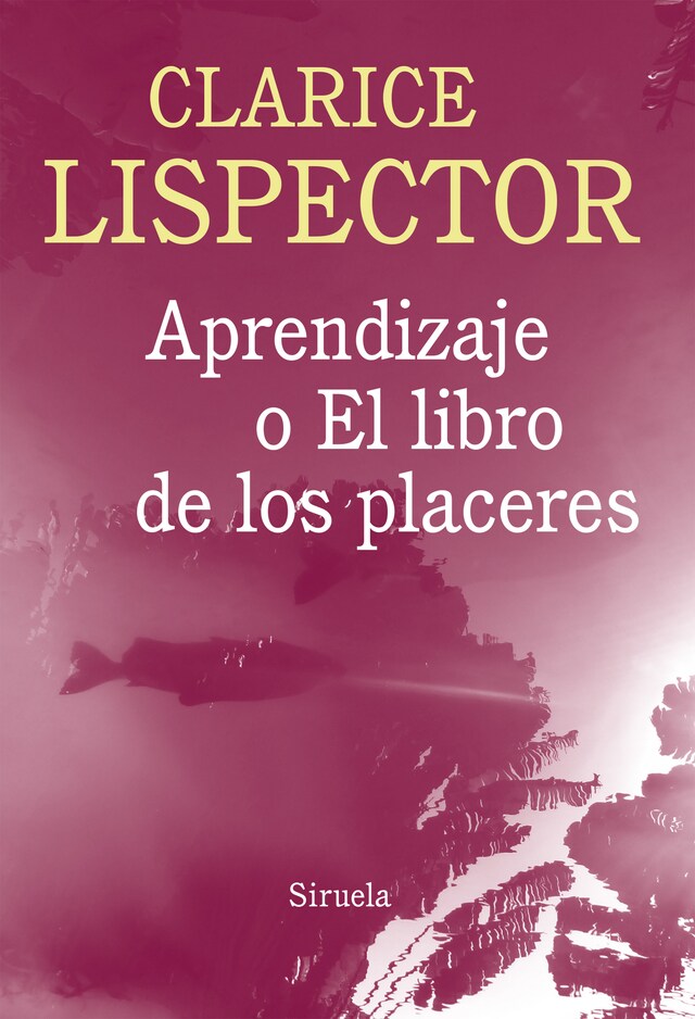 Boekomslag van Aprendizaje o el libro de los placeres