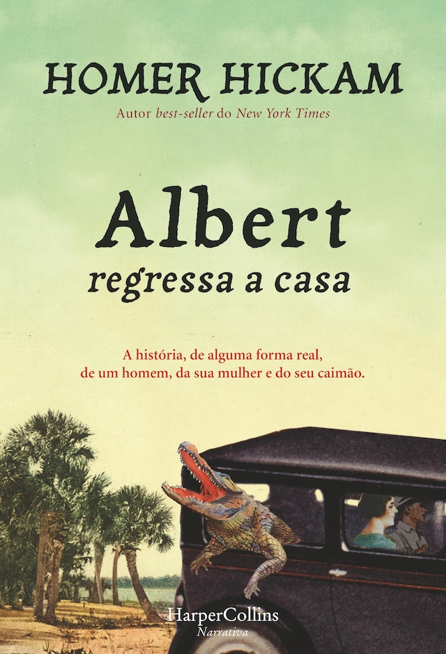 Buchcover für Albert regressa a casa