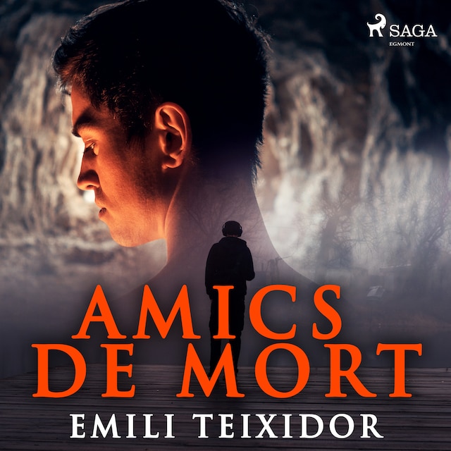 Book cover for Amics de mort