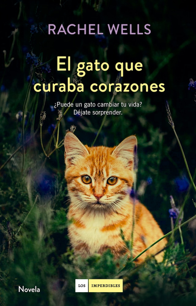 Book cover for El gato que curaba corazones