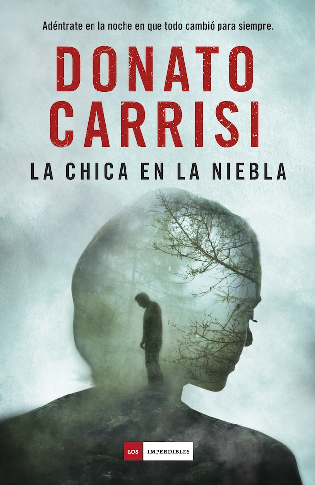Book cover for La chica en la niebla