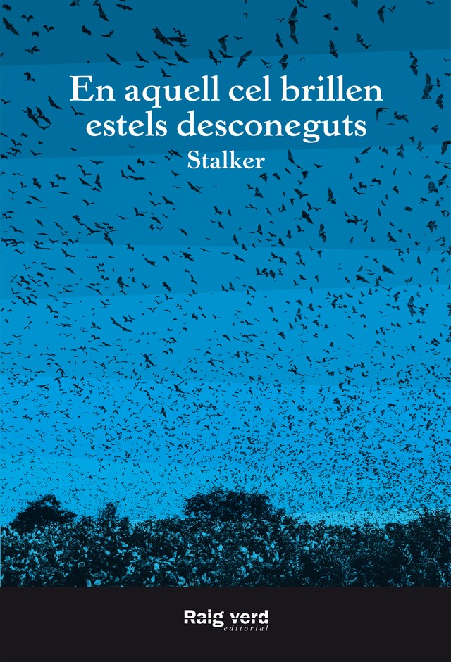 Book cover for En aquell cel brillen estels desconeguts